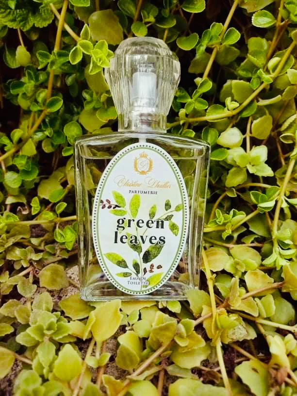 Women's Scent in Eau de Toilette